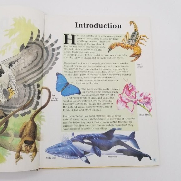 Childrens Nature Wild World by Jinny Johnson 90s HC Barnes & Noble VTG - Picture 6 of 6